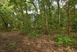 Diepenheim - Kagelinkbosweg 12